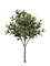 Charming 10" Boxwood Pick Set, 24 Pieces - Green Indoor/Outdoor Decorative Accent, Ideal for Home Decor and Garden Enrichment